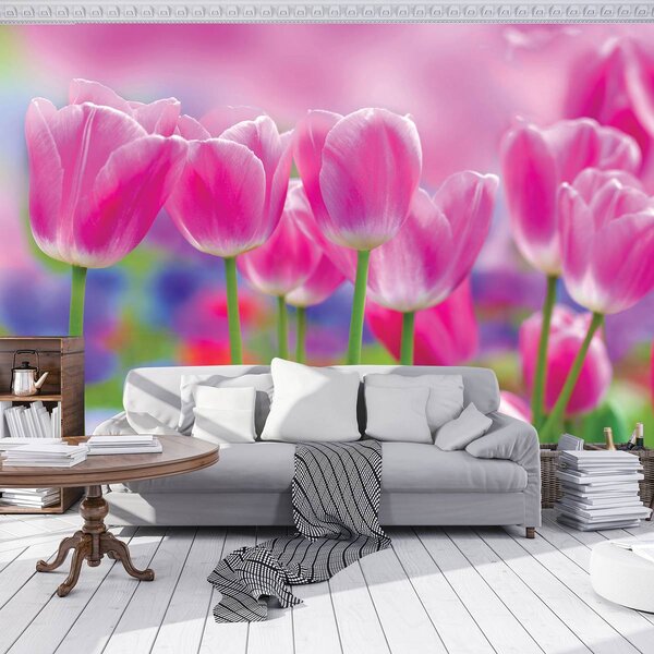 Foto tapeta - Tulipani (152,5x104 cm)