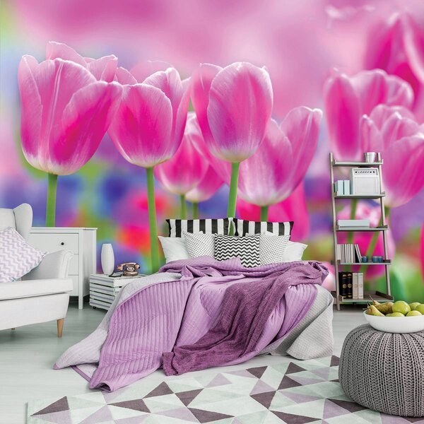 Foto tapeta - Tulipani (152,5x104 cm)