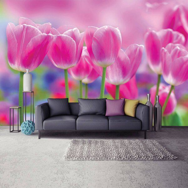 Foto tapeta - Tulipani (152,5x104 cm)