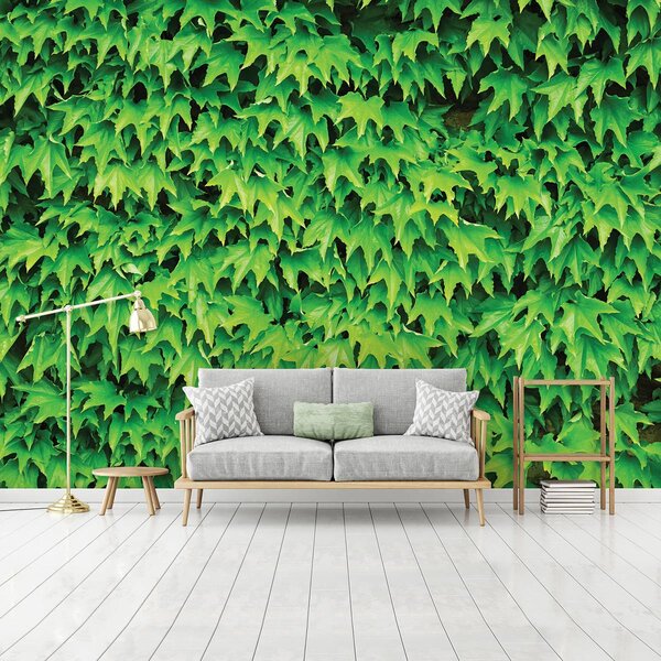 Foto tapeta - Lišće (152,5x104 cm)
