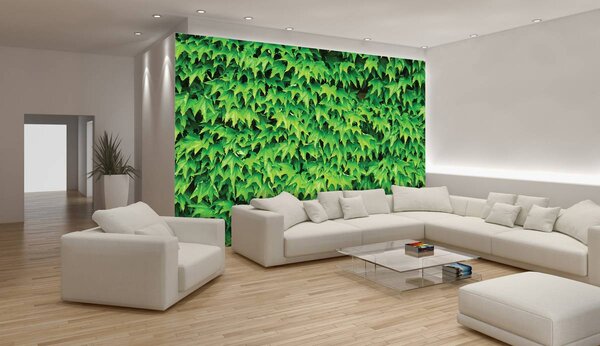 Foto tapeta - Lišće (152,5x104 cm)