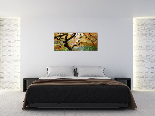 Slika rumenega japonskega javorja, Portland, Oregon (120x50 cm)
