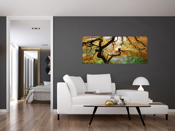 Slika rumenega japonskega javorja, Portland, Oregon (120x50 cm)