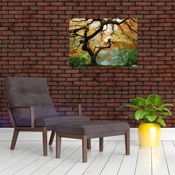Slika rumenega japonskega javorja, Portland, Oregon (70x50 cm)