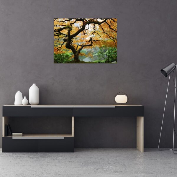Slika rumenega japonskega javorja, Portland, Oregon (70x50 cm)