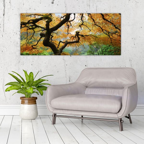 Slika rumenega japonskega javorja, Portland, Oregon (120x50 cm)