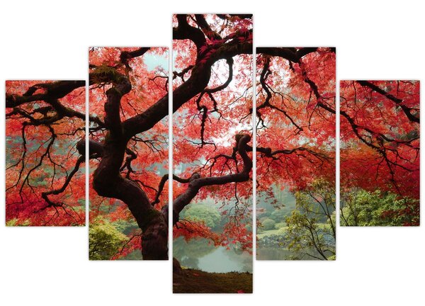 Slika rdečega japonskega javorja, Portland, Oregon (150x105 cm)