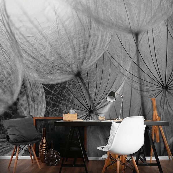 Foto tapeta - Detalj maslačka (152,5x104 cm)