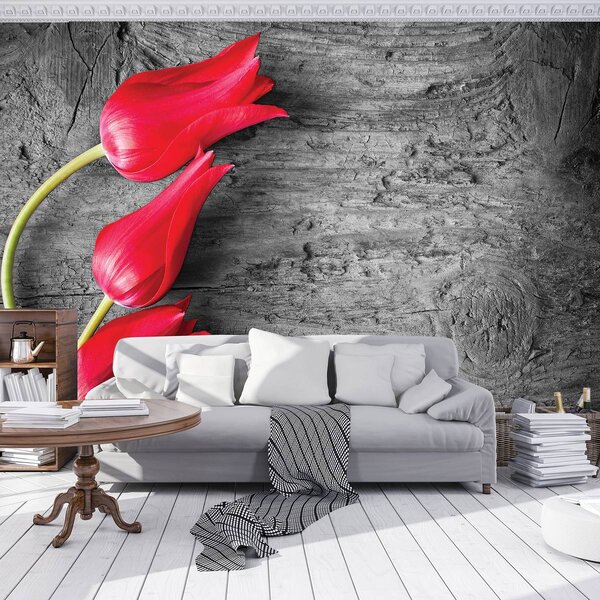 Foto tapeta - Crveni tulipani (152,5x104 cm)