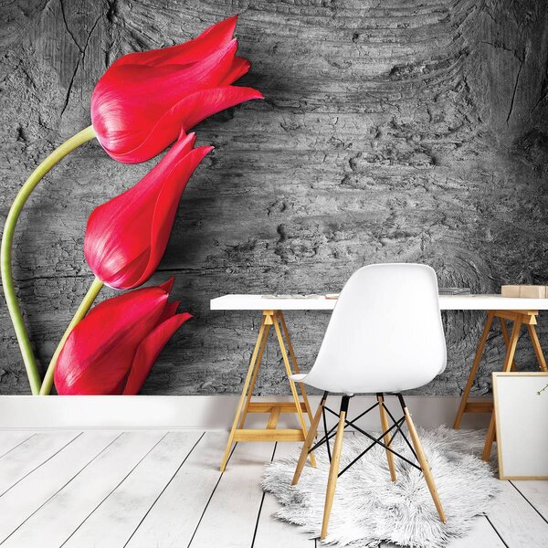 Foto tapeta - Crveni tulipani (152,5x104 cm)