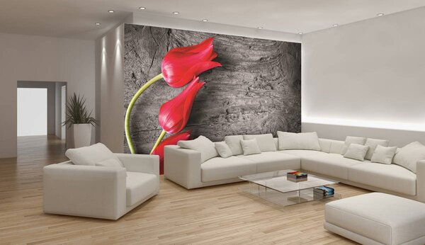 Foto tapeta - Crveni tulipani (152,5x104 cm)