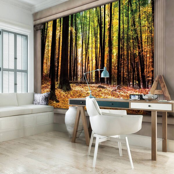 Foto tapeta - Jesenska šuma (152,5x104 cm)