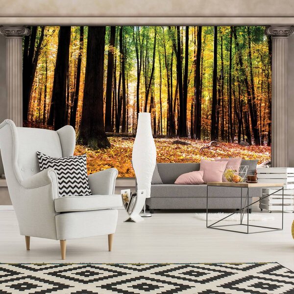 Foto tapeta - Jesenska šuma (152,5x104 cm)