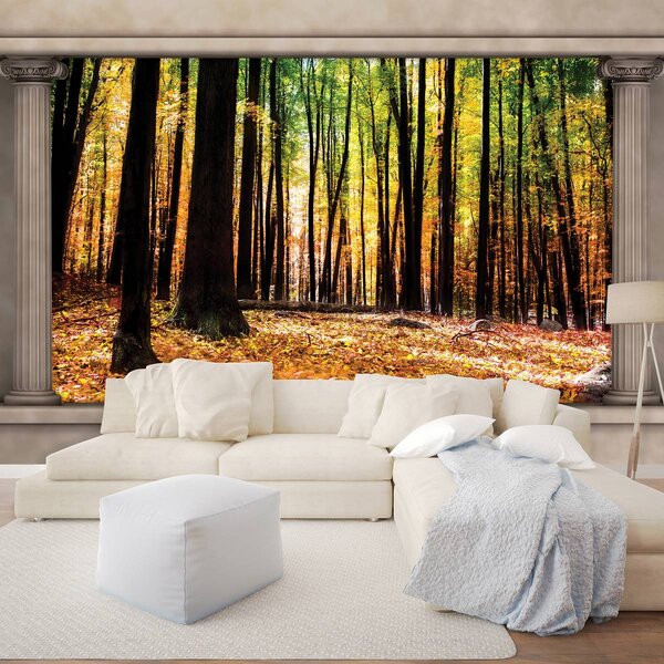 Foto tapeta - Jesenska šuma (152,5x104 cm)