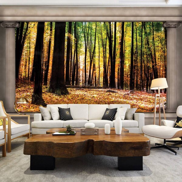 Foto tapeta - Jesenska šuma (152,5x104 cm)