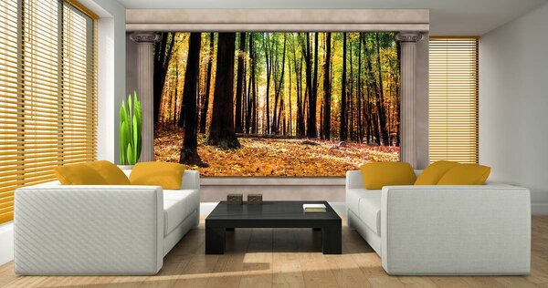 Foto tapeta - Jesenska šuma (152,5x104 cm)