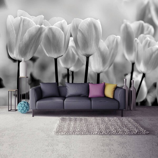 Foto tapeta - Tulipani (152,5x104 cm)