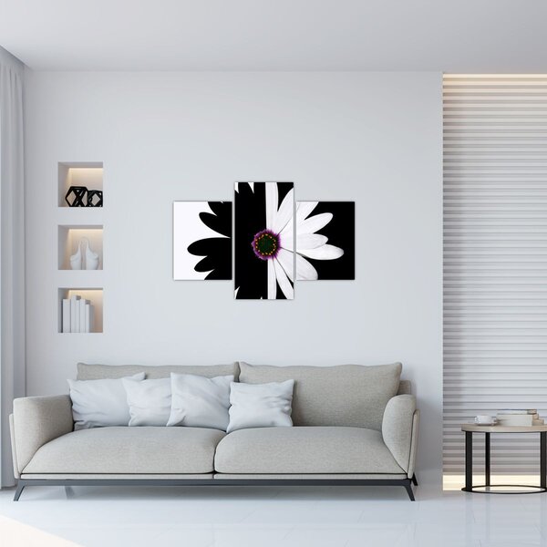 Slika črno-bele rože (90x60 cm)