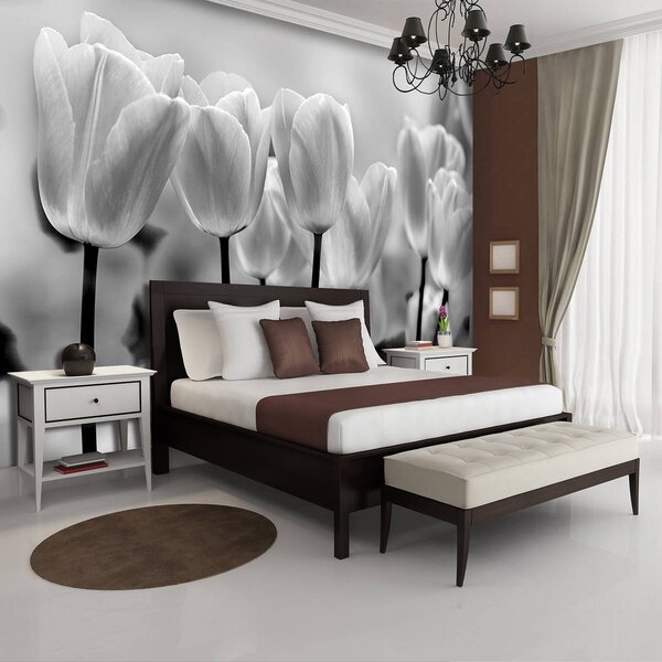 Foto tapeta - Tulipani (152,5x104 cm)