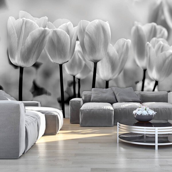 Foto tapeta - Tulipani (152,5x104 cm)