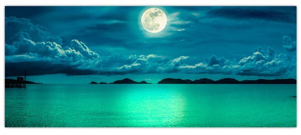 Slika - Polna luna nad površjem (120x50 cm)