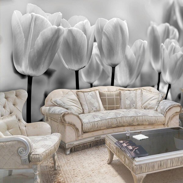 Foto tapeta - Tulipani (152,5x104 cm)