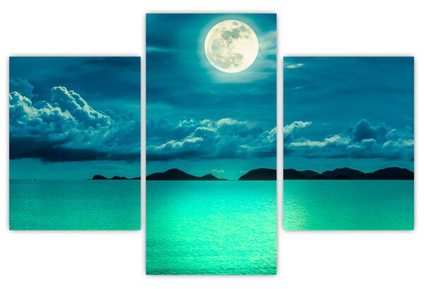 Slika - Polna luna nad površjem (90x60 cm)