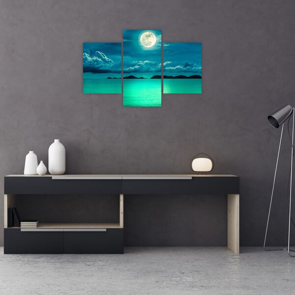 Slika - Polna luna nad površjem (90x60 cm)