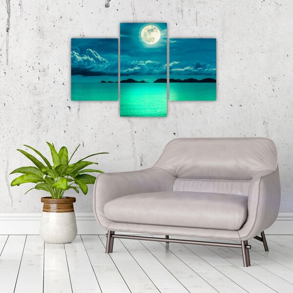 Slika - Polna luna nad površjem (90x60 cm)