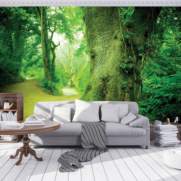 Foto tapeta - U šumi (152,5x104 cm)