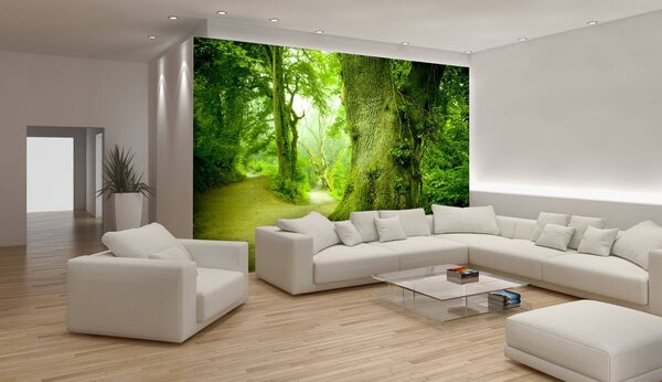 Foto tapeta - U šumi (152,5x104 cm)
