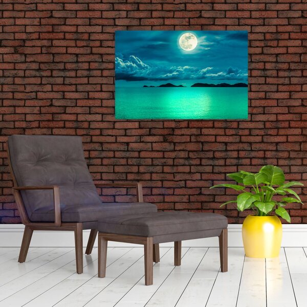 Slika - Polna luna nad površjem (90x60 cm)