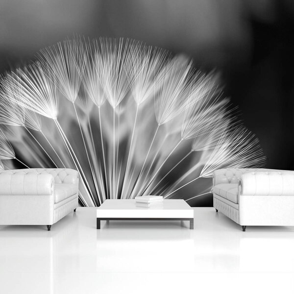 Foto tapeta - Maslačak (152,5x104 cm)