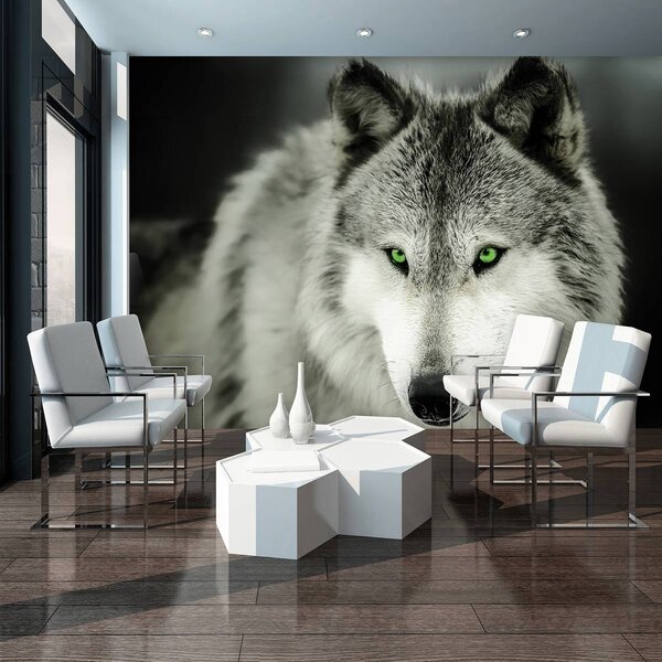 Foto tapeta - Vuk (152,5x104 cm)