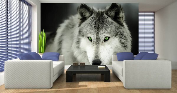 Foto tapeta - Vuk (152,5x104 cm)