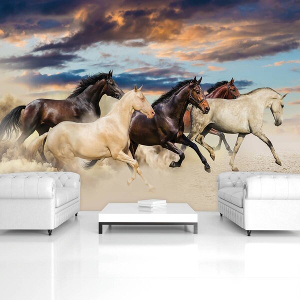 Foto tapeta - Mustang u galopu (152,5x104 cm)