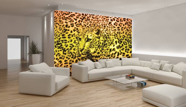 Foto tapeta - Gepard leopard životinja (152,5x104 cm)