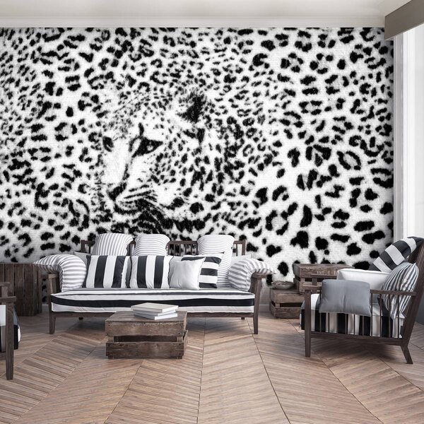 Foto tapeta - Crno-bijela - gepard (152,5x104 cm)