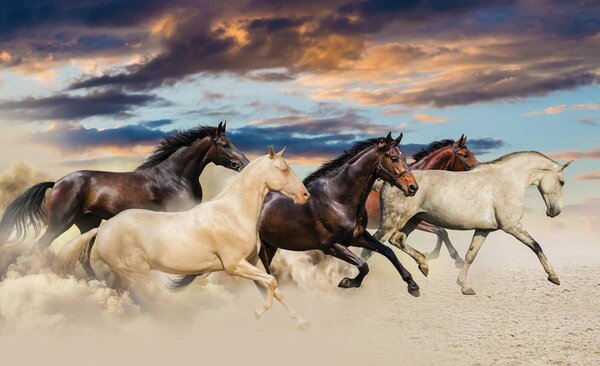 Foto tapeta - Mustang u galopu (152,5x104 cm)
