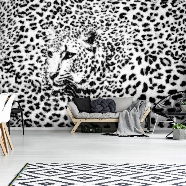 Foto tapeta - Crno-bijela - gepard (152,5x104 cm)