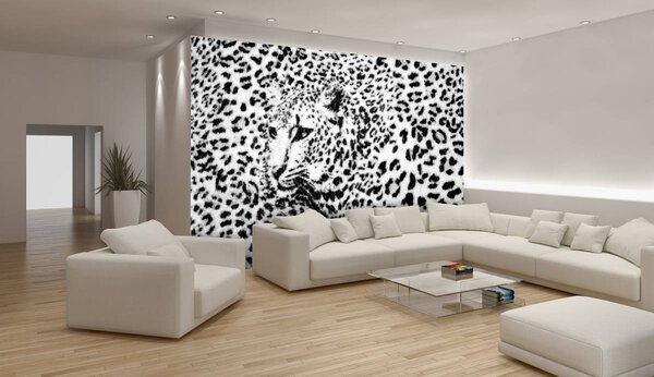 Foto tapeta - Crno-bijela - gepard (152,5x104 cm)