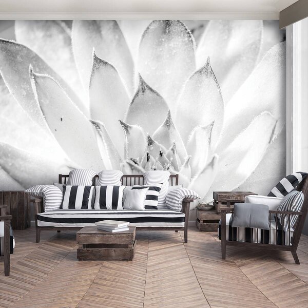 Foto tapeta - cvijet lotosa (152,5x104 cm)