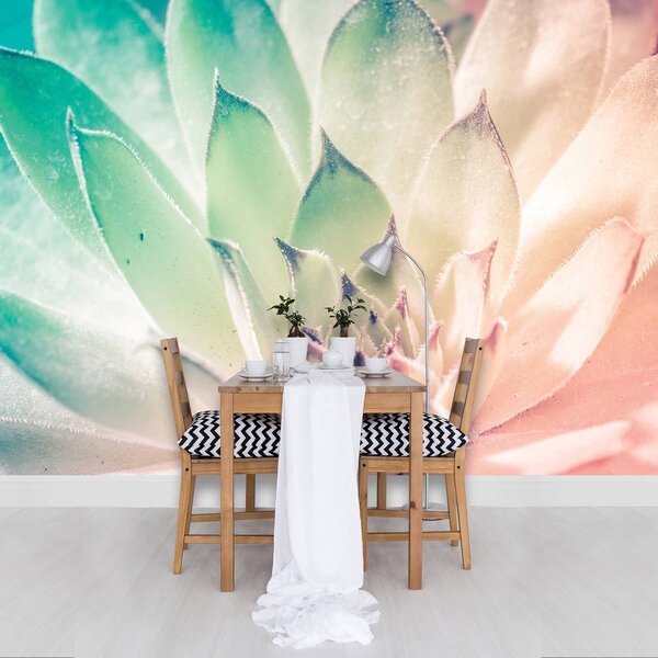 Foto tapeta - cvijet lotosa (152,5x104 cm)
