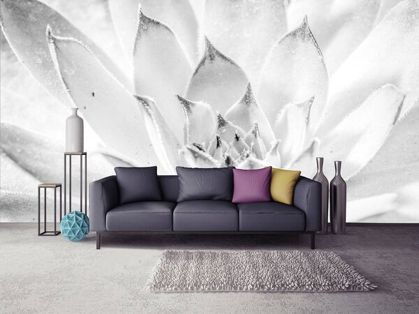 Foto tapeta - cvijet lotosa (152,5x104 cm)