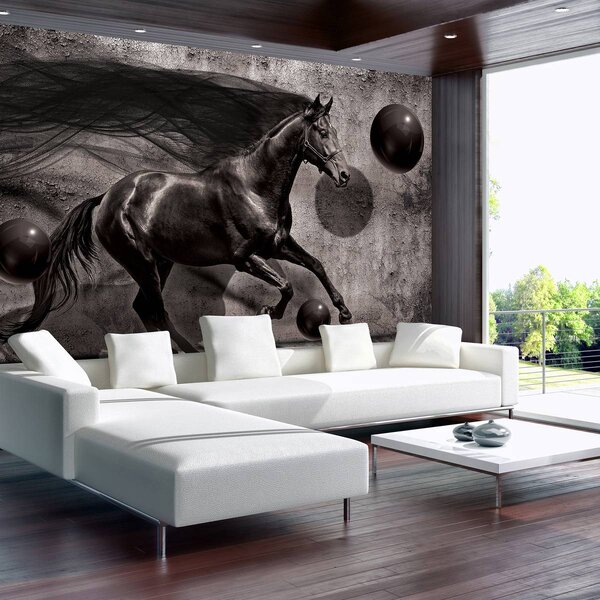 Foto tapeta - Crni konj (152,5x104 cm)