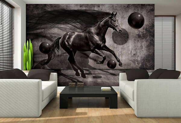 Foto tapeta - Crni konj (152,5x104 cm)