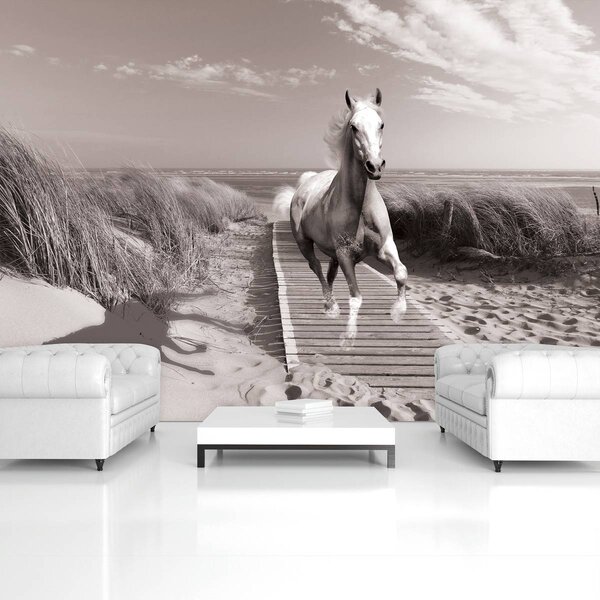 Foto tapeta - Konj na plaži (152,5x104 cm)