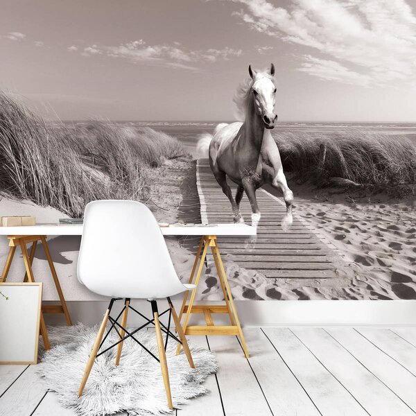Foto tapeta - Konj na plaži (152,5x104 cm)