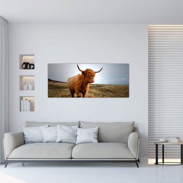 Slika škotske krave (120x50 cm)