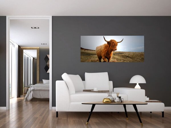 Slika škotske krave (120x50 cm)